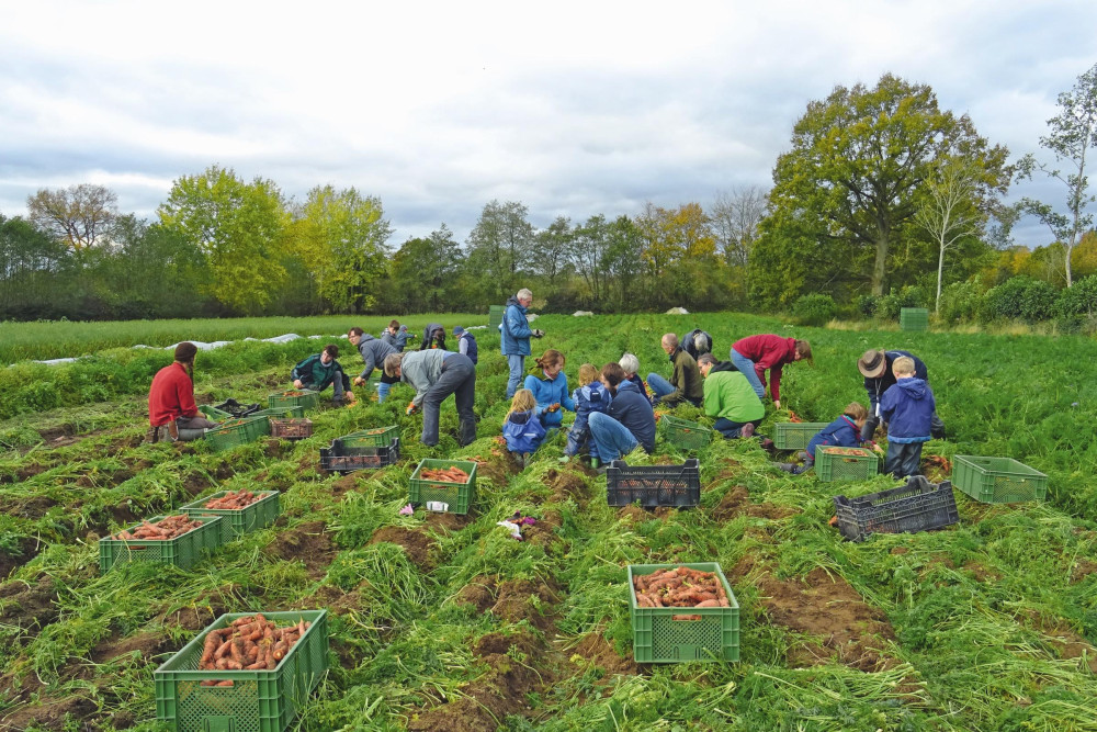 Titelbild mit Menschen auf einem Feld bei der Ernte
