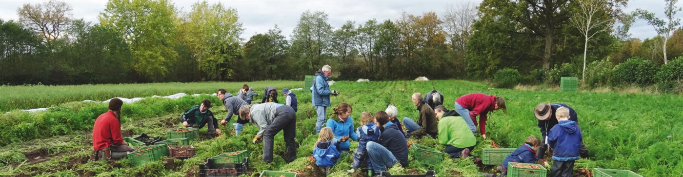 Mitglieder auf dem Feld